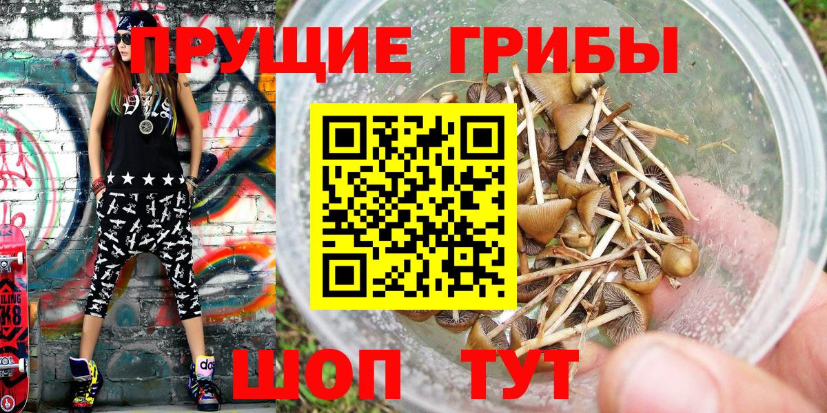 Псилоцибиновые грибы Cubensis  Вход с VPN  Туапсе 